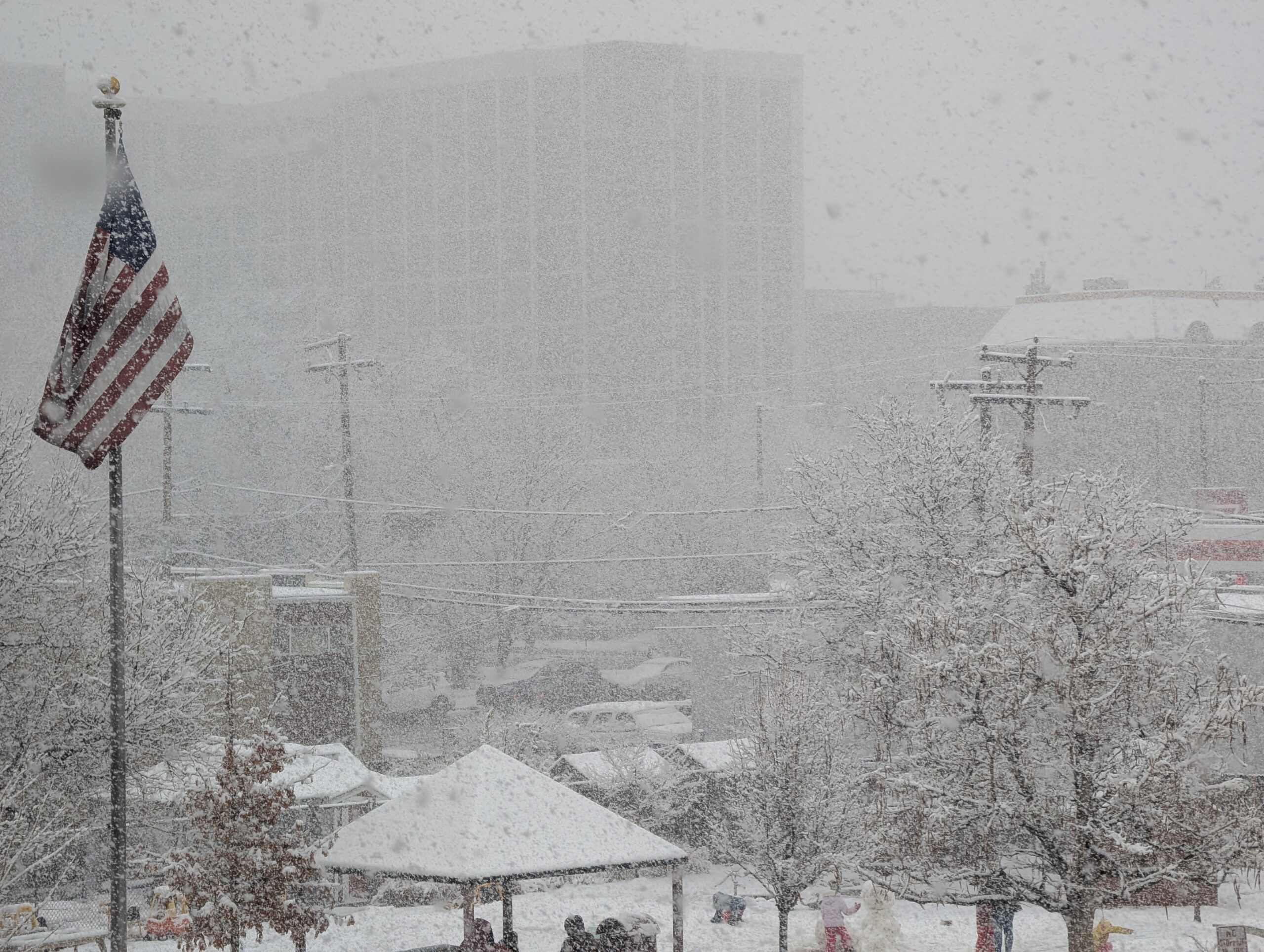 PXL_20260306_171038273