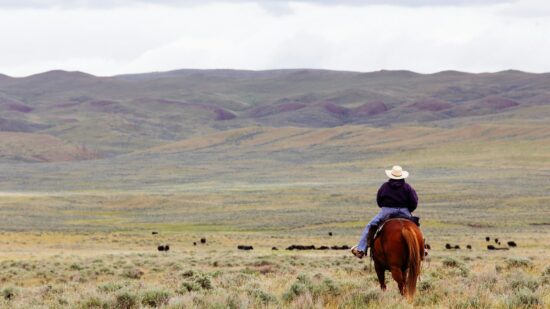 A rancher rides out to collect some cows in rural Montana.
