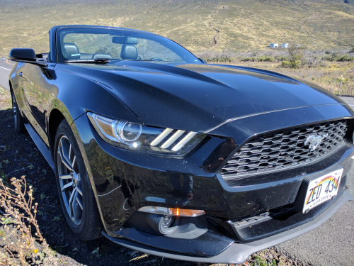 IMG_20170117_103115 IMG_20170117_103115