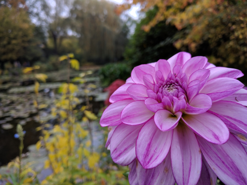 IMG_20161026_113650 IMG_20161026_113650