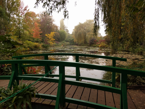 IMG_20161026_112153 IMG_20161026_112153