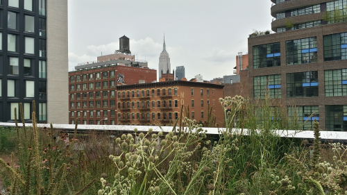 20170814_151510_Richtone(HDR) 20170814_151510_Richtone(HDR)