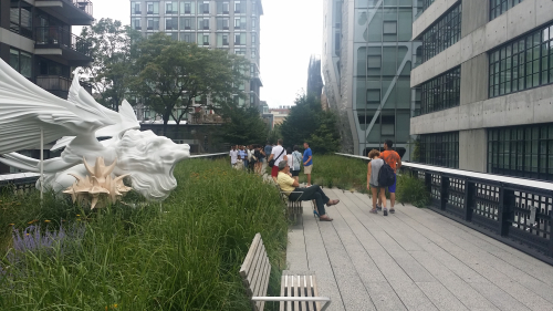 20170814_143931 20170814_143931