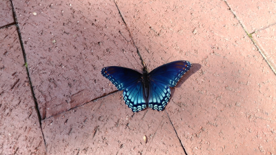 20181007_113732_HDR 20181007_113732_HDR