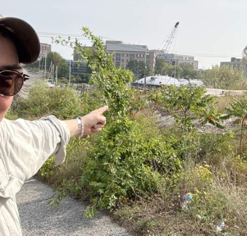 Kelo site Ft Trumbull Kelo site Ft Trumbull